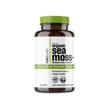 Organic Irish Sea Moss Capsules with Burdock Root & Bladderwrack