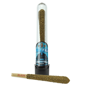 HHC Tarantula Premium Kief Doobie – 200mg – 2g – Indica