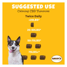 Bailey's Calming CBD Yummies!