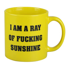 I am a Ray of Fucking Sunshine Mug