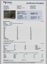 CBD temporary tattoos - The Classic Collection