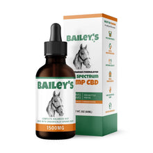 CBD Oil For Horses